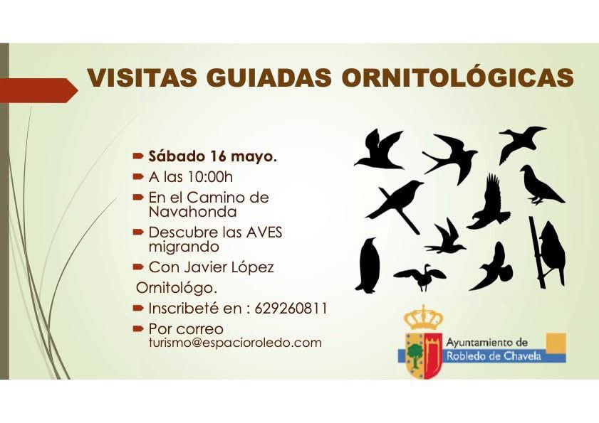 robledodch's tweet photo. Sábado ornitológico, este sábado 16 de mayo esperamos vuestras inscripciones turismo@espaciorobledo.com y en el  teléfono 629260811 https://t.co/1BeH6qrlLk