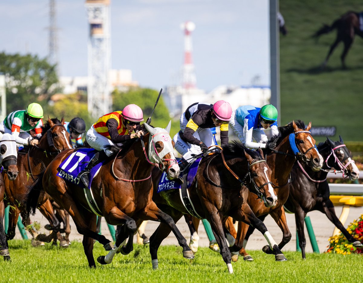 チアシー (@temple24324440) / Posts / X