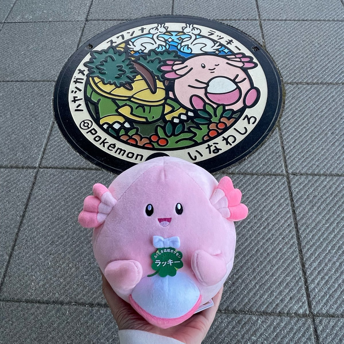 るったん。 tweet media