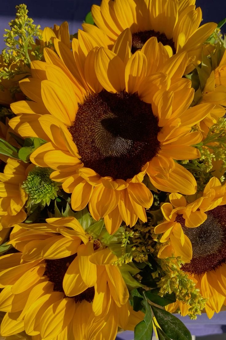 SUNFLOWER 🌻 tweet media