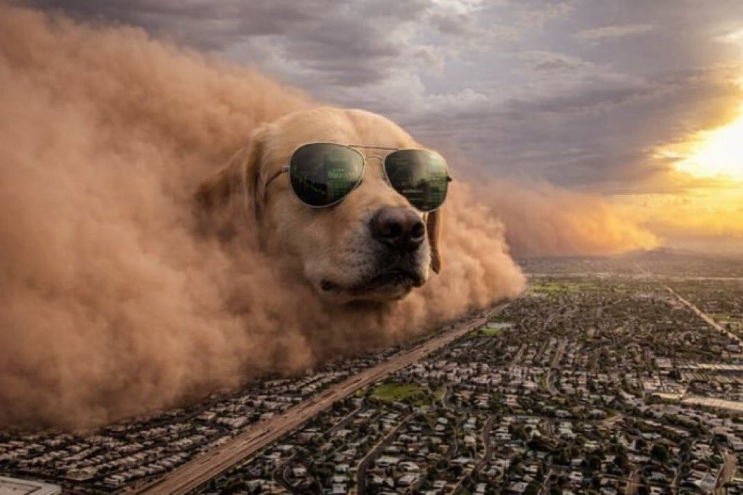 Dracular ( $DOG ARC ) tweet media