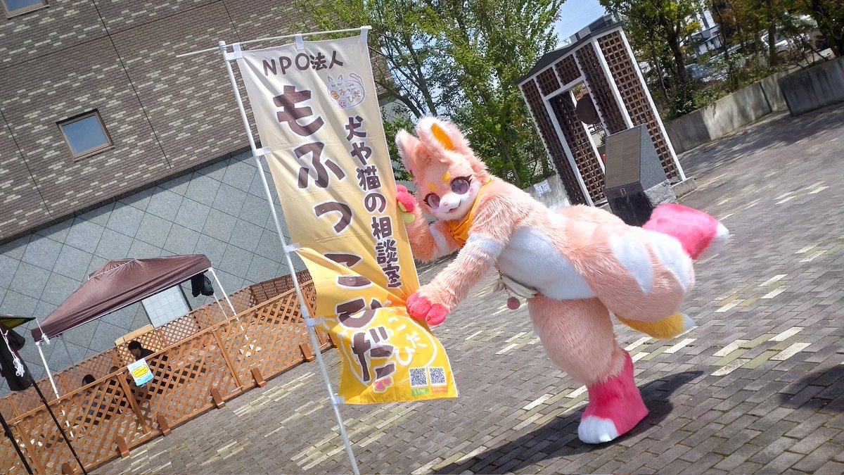 ukulele_fetish's tweet photo. 飛騨高山、飛騨古川近辺でコスプレイベント「ひだコス」を企画、開催してます！
ケモノ姿ではしのんちゃんが保護犬猫保護団体「もふっこひだ」のお手伝い等もやってます🐰✨
お声掛けくだされば何処でも翔んで駆け付けますよー⤴️💕

お気軽に宜しくどうぞ〜

#ご当地キャラの日 …？ https://t.co/S6cjnv7Jhd