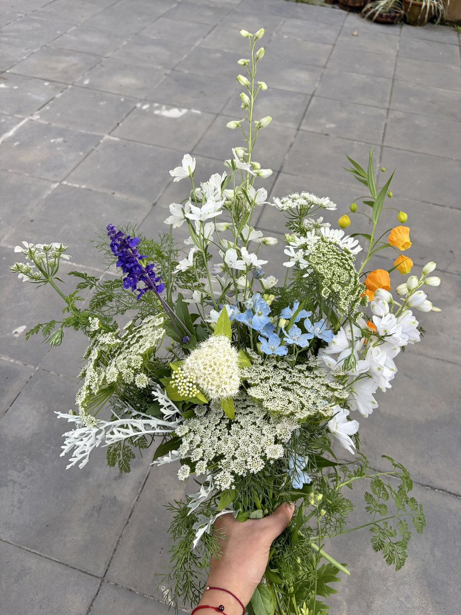 ArienZheng's tweet photo. 母亲节用自己种的花给妈妈包了一个大花束❤️ https://t.co/0xBLnLBLIy