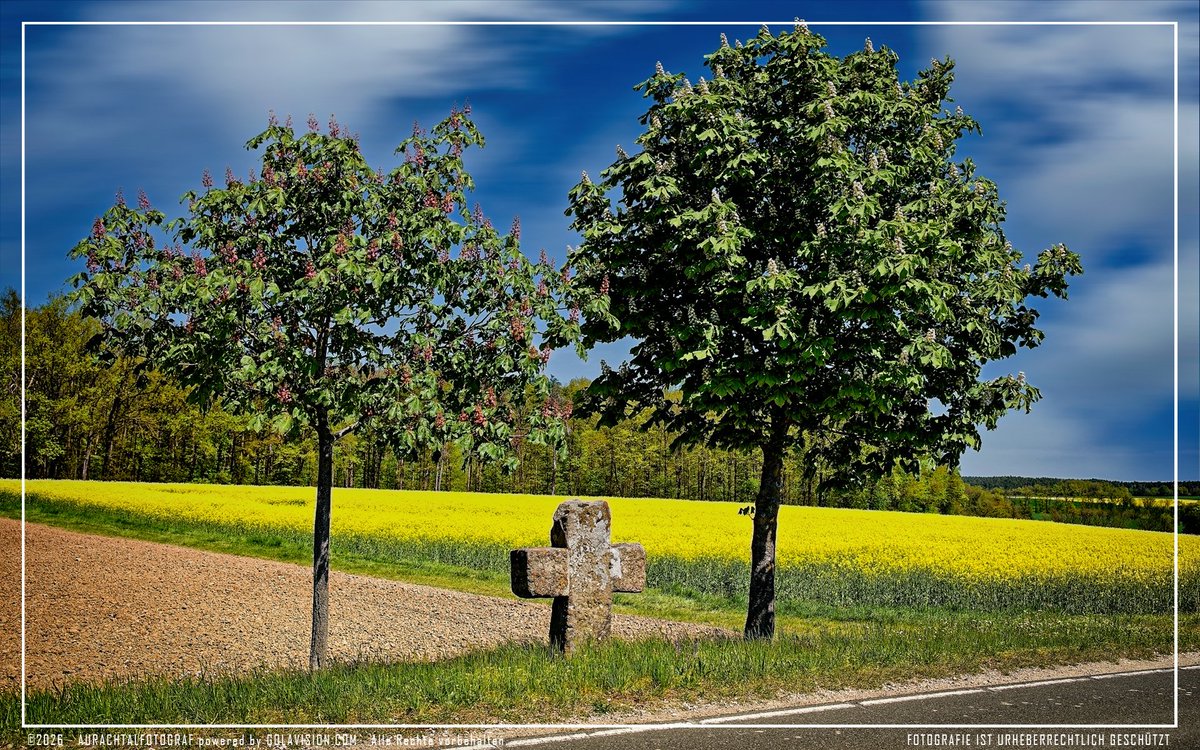 aurachtalfoto's tweet photo. 📷 Heimatfotografie entlang der Aurach - Sühnekreuz aus dem Spätmittelalter zwischen Münchaurach und Nankenhof an der ERH 15. #gemeindeaurachtal #aurachtal #bayern #aurachtalfrueher #vgaurachtal #landkreis_erh #erlangenhöchstadt #herzogenaurach https://t.co/j92M3CzM36