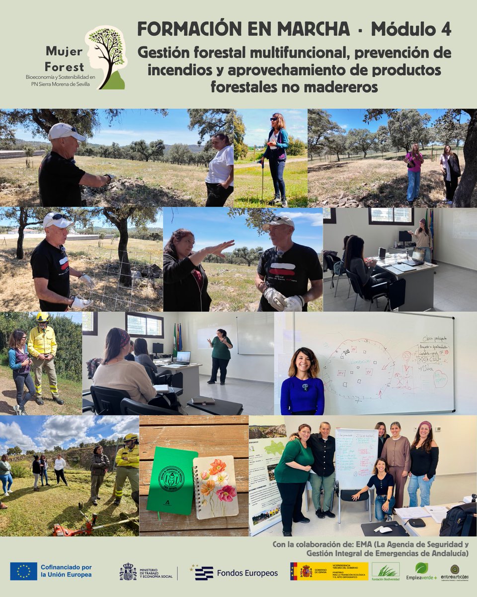 MujerForest's tweet photo. Estamos activando personas capaces de analizar, comunicar y actuar sobre el territorio.

En #MujerFOREST seguimos trabajando:
🎤 oratoria
🔥 prevención incendios
🌲 inventarios forestales
🐑 gestión territorio

Hemos pasado de aprender conceptos
a construir criterio y propuestas https://t.co/NJeZ61LKVl