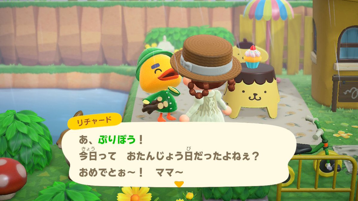 皐月🐥低浮上 tweet media
