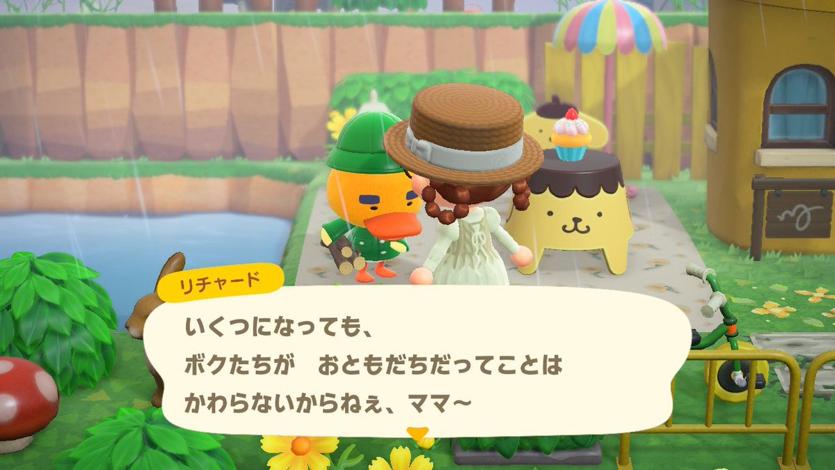 皐月🐥低浮上 tweet media