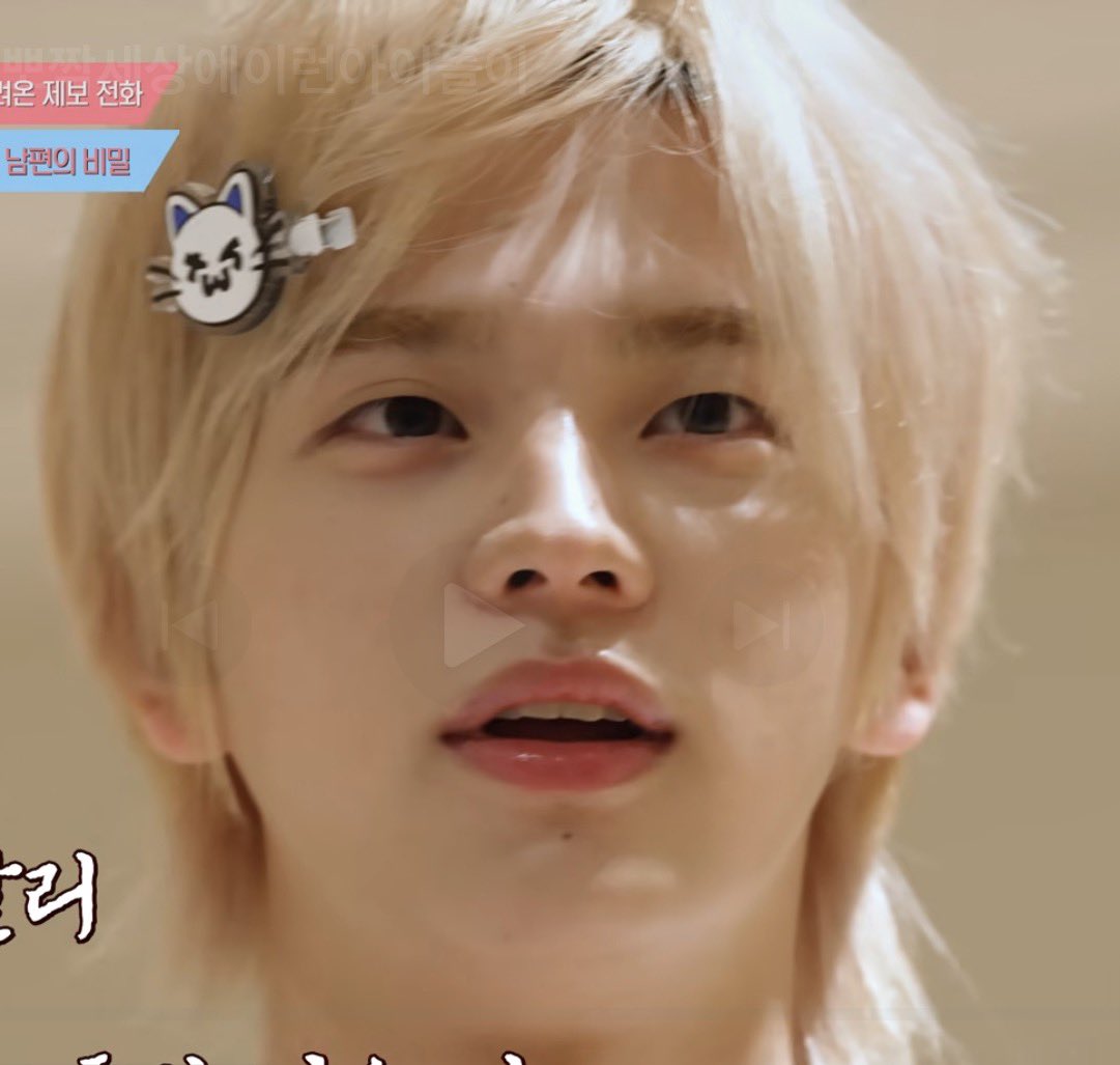 퍼피 tweet media