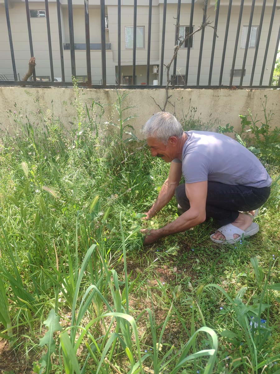 suofid's tweet photo. Derneğimiz bahçesinde bahar temizliği çalışması gerçekleştirdik. 🌱

Çalışmalar sırasında desteklerini esirgemeyen dernek gönüllümüz Mehmet Kaynar'a emek ve katkılarından dolayı teşekkür ederiz. 

Ellerine sağlık. https://t.co/EEf8rtms7a