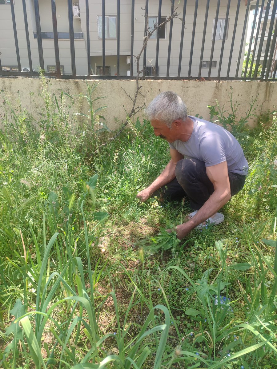 suofid's tweet photo. Derneğimiz bahçesinde bahar temizliği çalışması gerçekleştirdik. 🌱

Çalışmalar sırasında desteklerini esirgemeyen dernek gönüllümüz Mehmet Kaynar'a emek ve katkılarından dolayı teşekkür ederiz. 

Ellerine sağlık. https://t.co/EEf8rtms7a