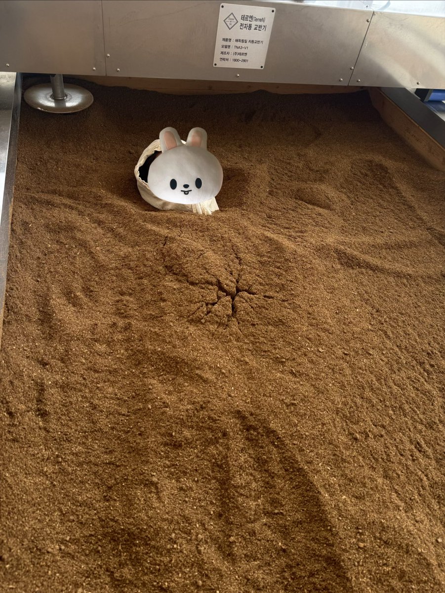 だいふく🐰ྀི tweet media
