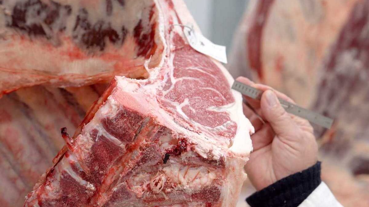 Bruselas llena Europa de alimentos contaminados por el acuerdo con Mercosur: llegan lotes de carne y de girasol infectados de Argentina, Brasil y Uruguay

Por Unai Cano (<a href="/unaicano10/">Unai Cano</a>)

gaceta.es/europa/brusela…