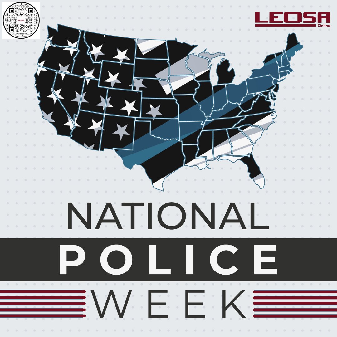 LEOSA - Defense Consulting Services tweet media