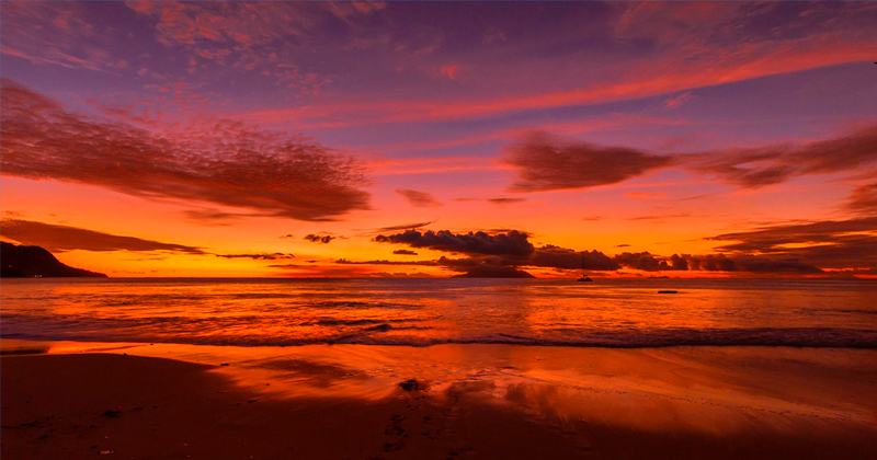 tropicalitytips's tweet photo. Pic of the Night...Staying Alive 🌅
https://t.co/3DgdHJtQ7b
#sunsetphotography #sunsettrip #sunsets #beach https://t.co/wupEVV4w96