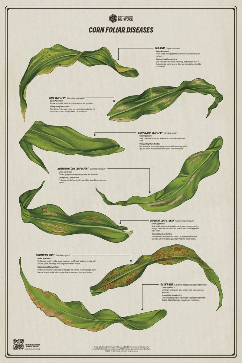 Crop Protection Network tweet media