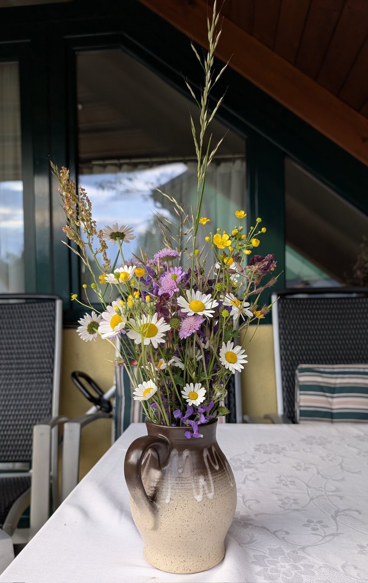 CarFreiTag's tweet photo. Aus der Wiese #daheim 💐 https://t.co/WNZwF7VlQP