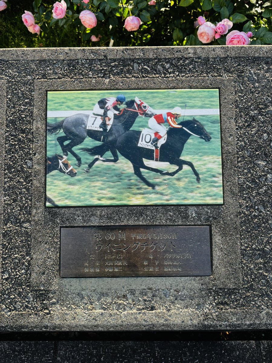 東京競馬場ローズガーデン🌹
近くに歴代ダービー馬の石碑がありました。
エイシンフラッシュ、タニノギムレット、個人的には思い入れのあるウイニングチケットも。3等のダービー馬の余生を共に過ごしてきた事を改めて実感。

#エイシンフラッシュ
#タニノギムレット
#ウイニングチケット
#日本ダービー