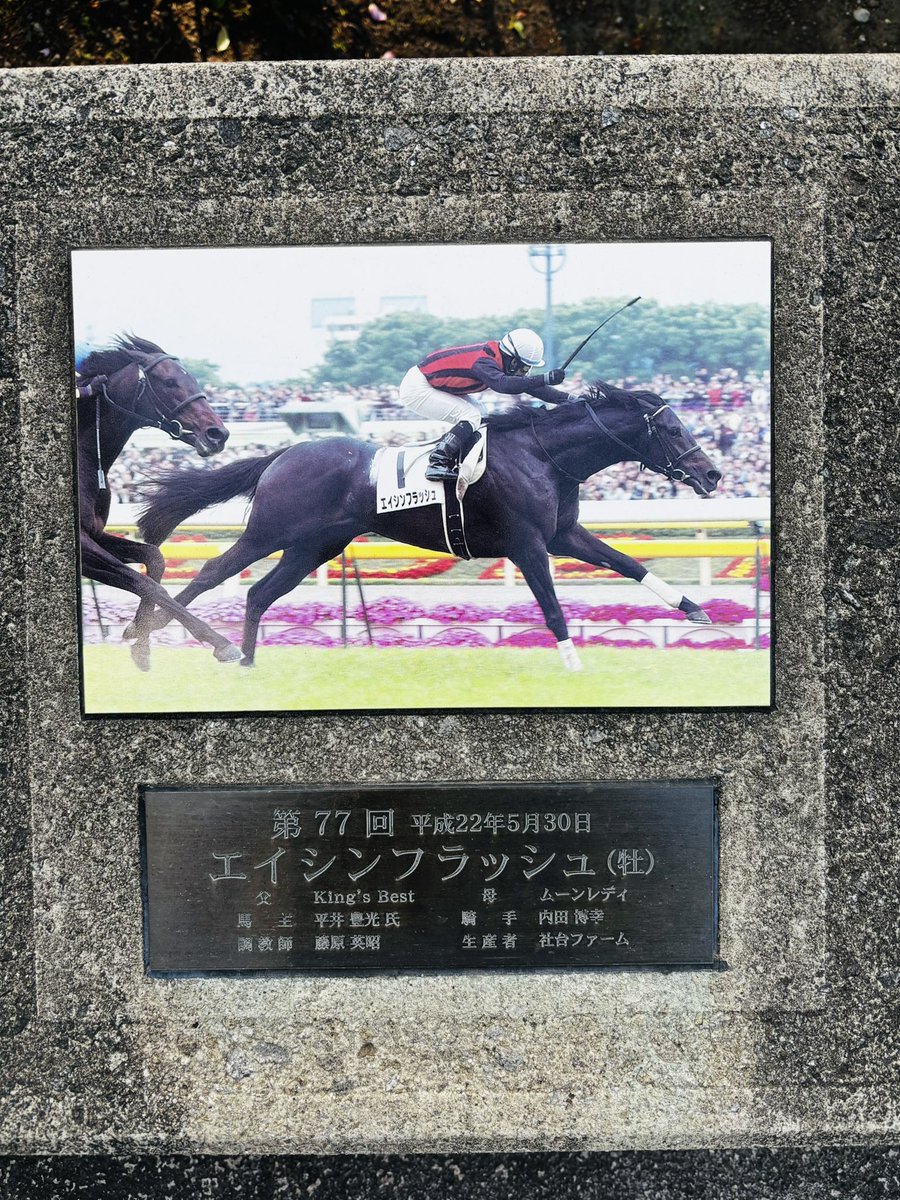 東京競馬場ローズガーデン🌹 近くに歴代ダービー馬の石碑がありました