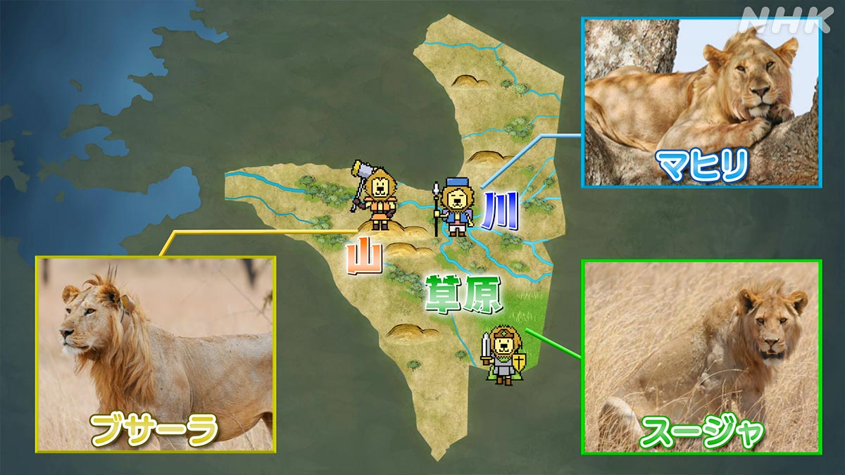 ダーウィンが来た！ (@nhk_darwin) / Posts / X