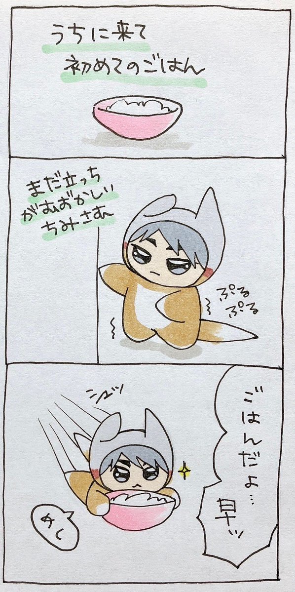 お灸ちゃん tweet media