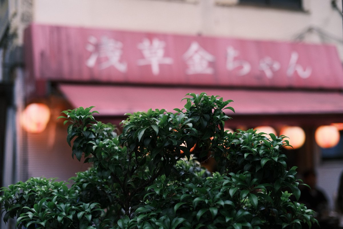 cosmo0406's tweet photo. asakusa / 浅草 https://t.co/3PgFJPTG2F