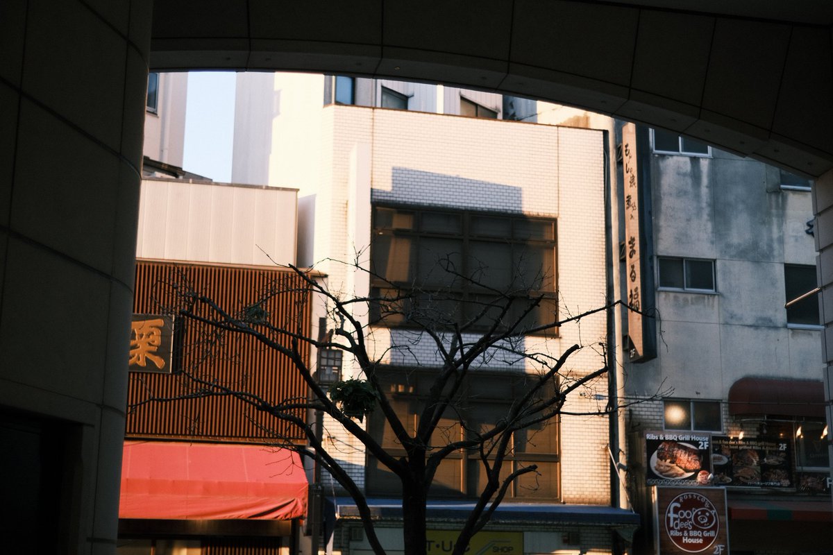 cosmo0406's tweet photo. asakusa / 浅草 https://t.co/3PgFJPTG2F