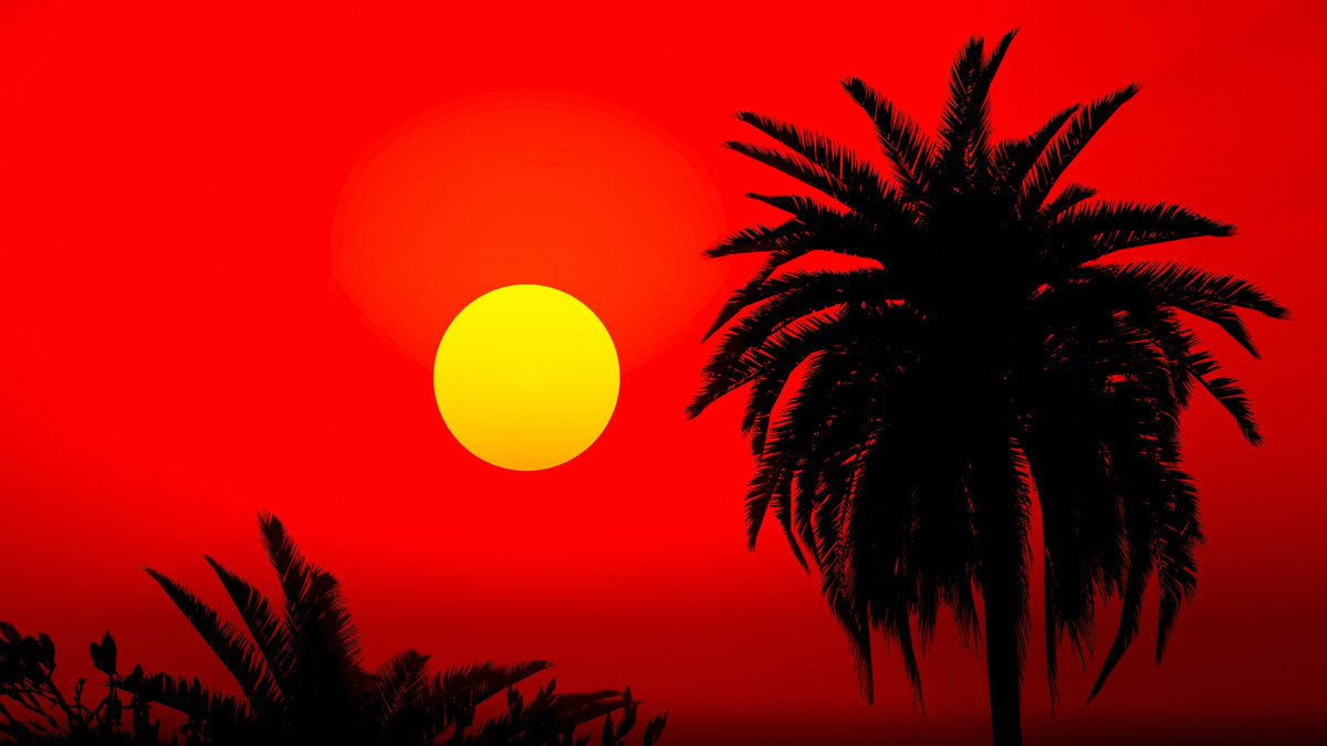 ℂ𝕌ℝ𝕃𝕐 (カーリー )📸 tweet media