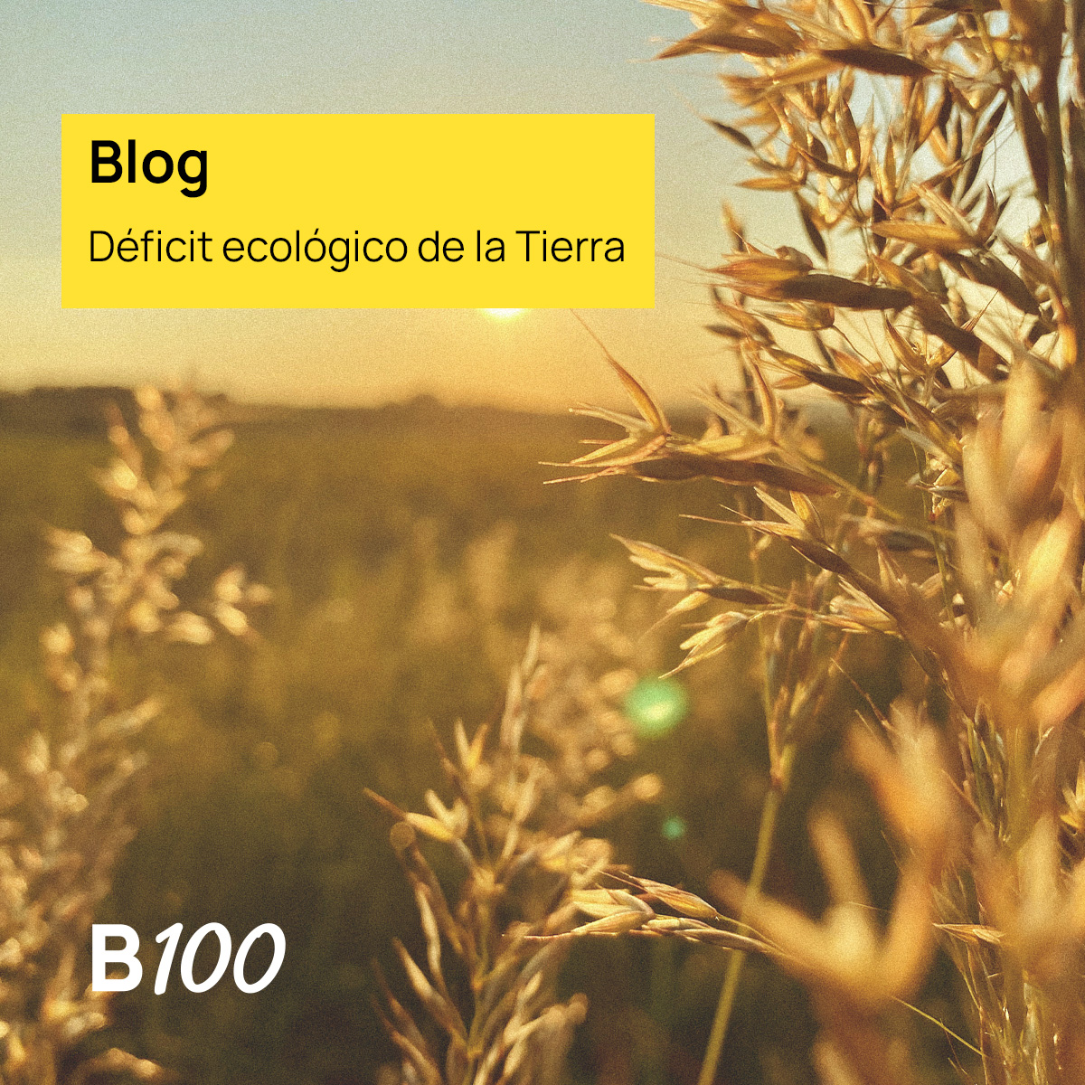 B100 tweet media