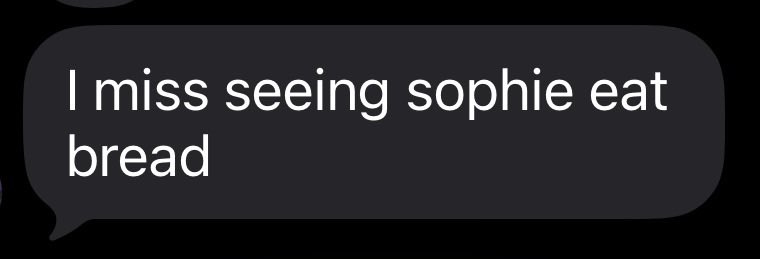 sophie tweet media