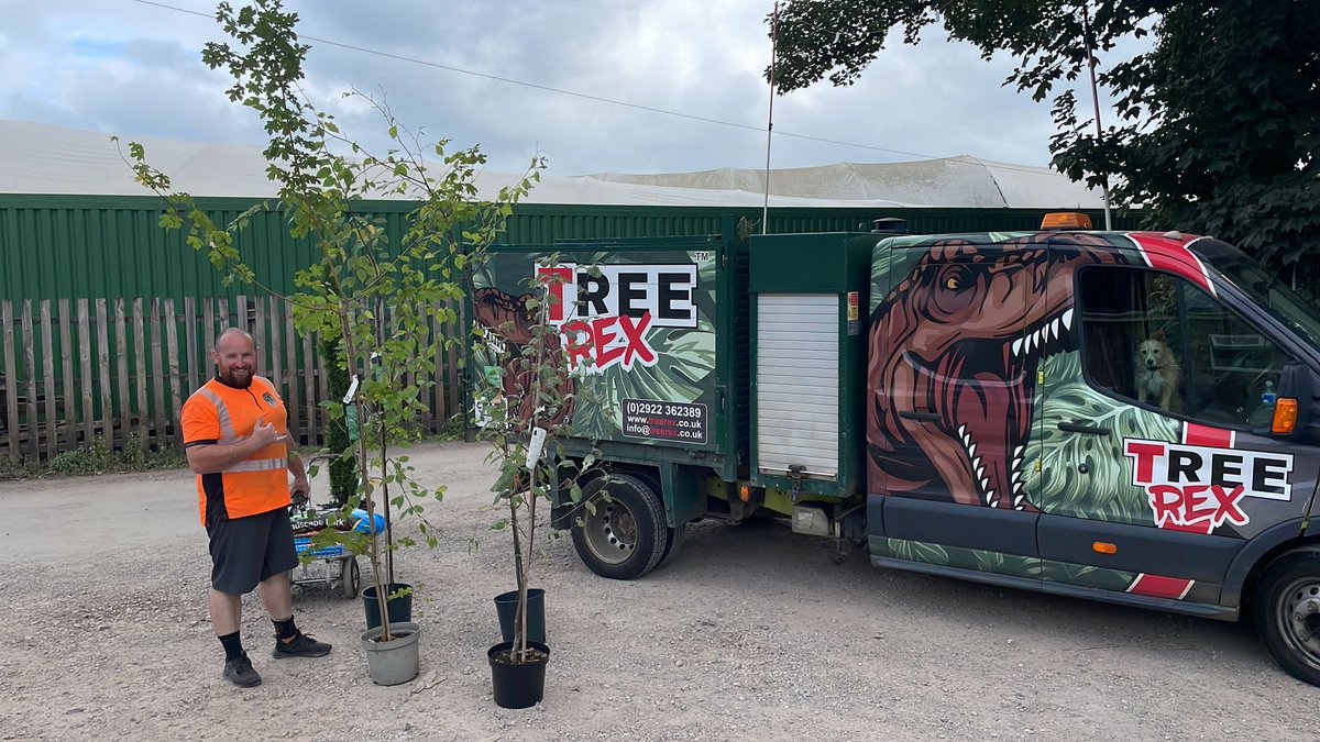 TreeRex Limited tweet media