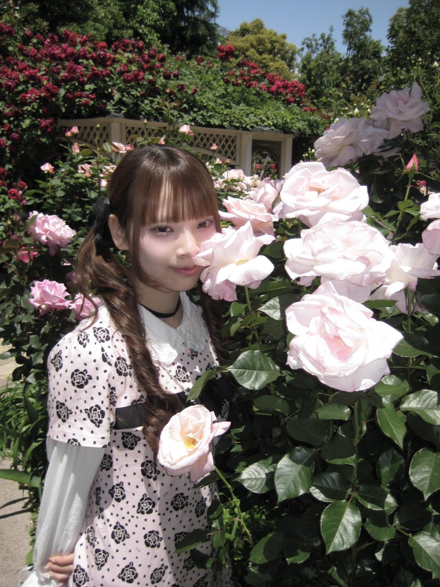 沢山写真を撮ってもらった（ ܸʚ̴̶̷̷⩊ʚ̴̶̷̷ ܸ）🎀