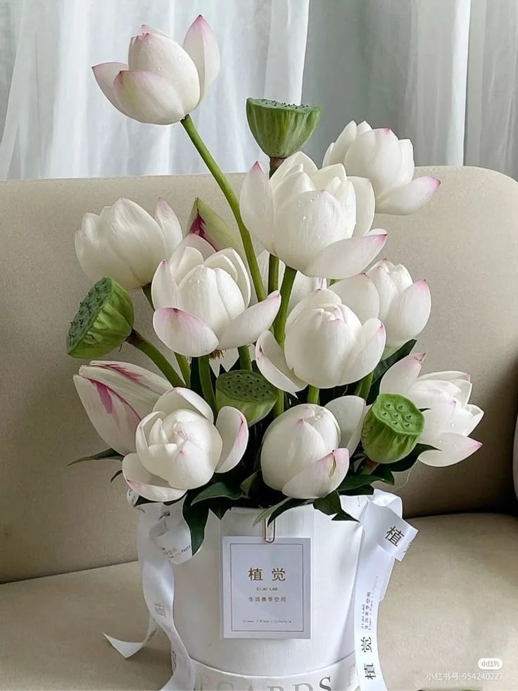 Flowerslovers44's tweet photo. https://t.co/utvl2tLvR5