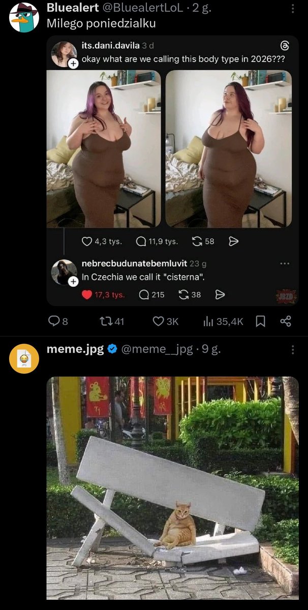 𐙚 agatka 𐙚 tweet media