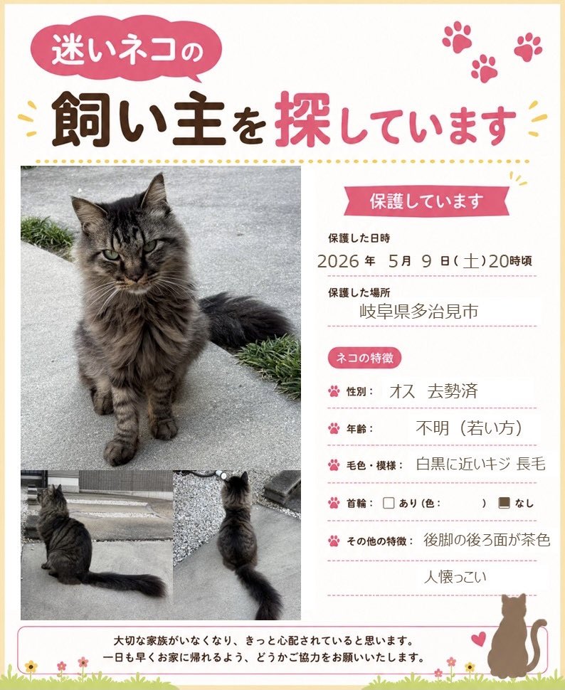 meso／まるけい tweet media