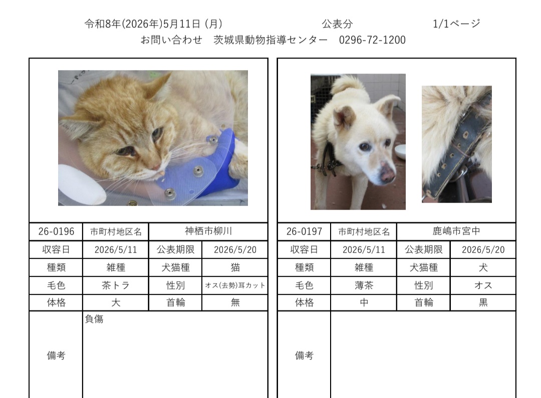 小美玉市 環境課 tweet media