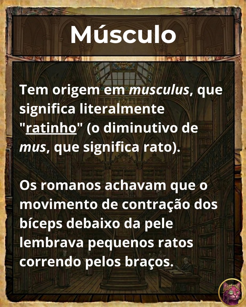 o_latinista's tweet photo. O #Latim vive e passa bem... 🧐🍷
[MÚSCULO: Parte 1/3]

Você sabia que seus bíceps são... "ratinhos"?!? 🐭💪

A palavra MÚSCULO é uma das #Curiosidades da #historia romana. É uma analogia muito específica... 🐀 

Veja a imagem abaixo e entenda.👇
#OLatinista #Etimologia https://t.co/StBaM7n7kW