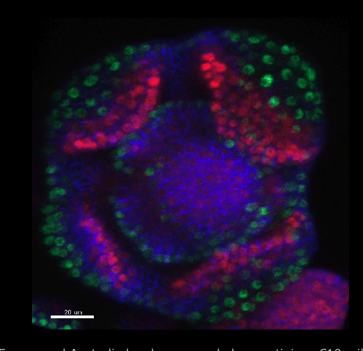 Heisler Lab tweet media