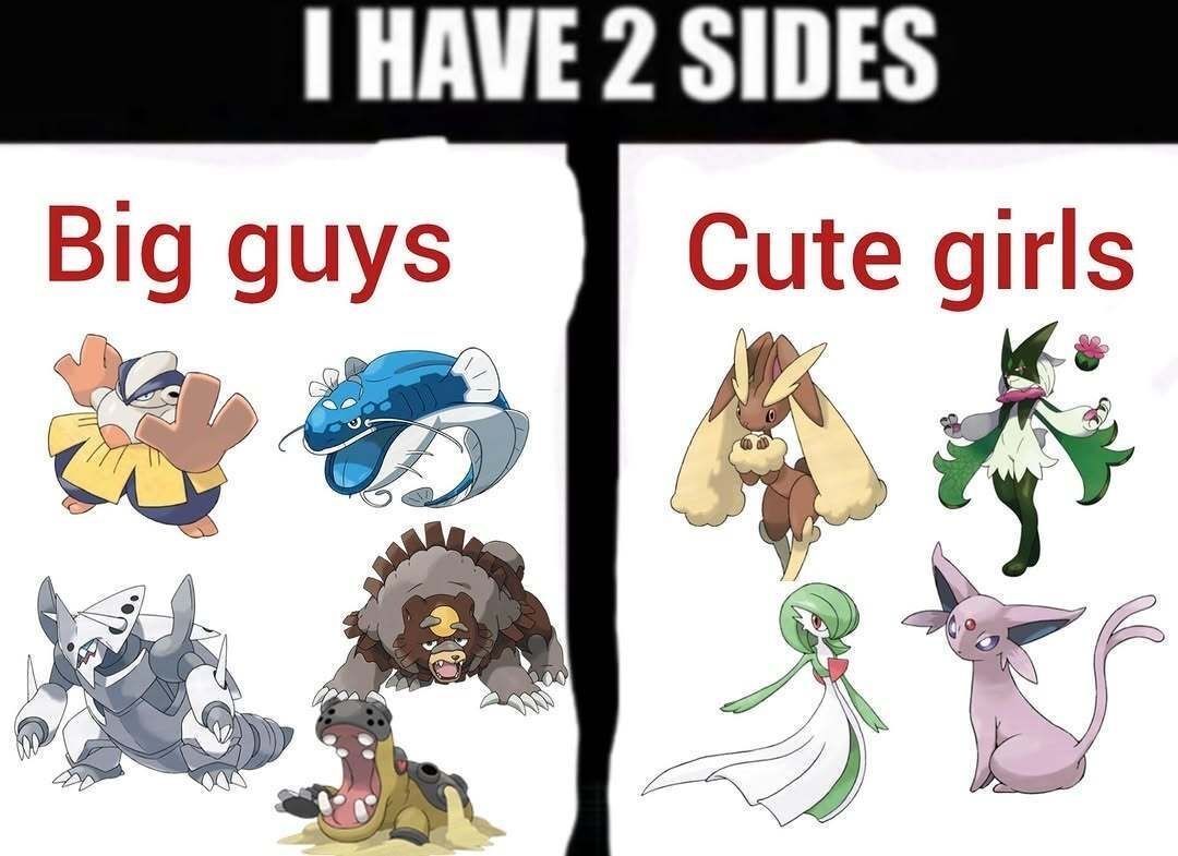 Pokémon Perfect Shots tweet media