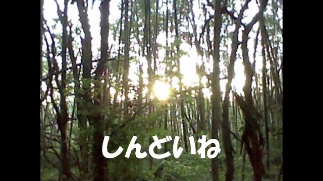 しぜんすい tweet media