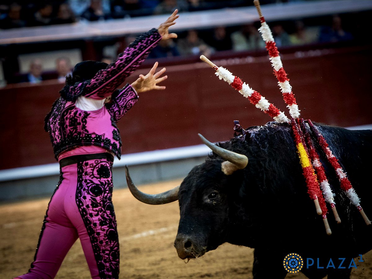 Samsa2111's tweet photo. Algunas veces se aplauden pares en nuestra plaza por el nombre del banderillero, aunque en alguno le salga la cosa regular y sean más a toro pasado que otra cosa. Sí me gustó de verás ayer este de Ángel Gómez exponiendo para cuadrar en la cara. https://t.co/0P0MvrHcFD