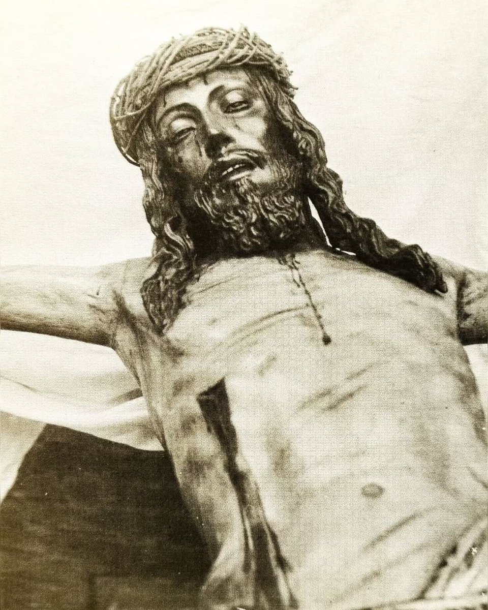 Sepia Cofrade tweet media