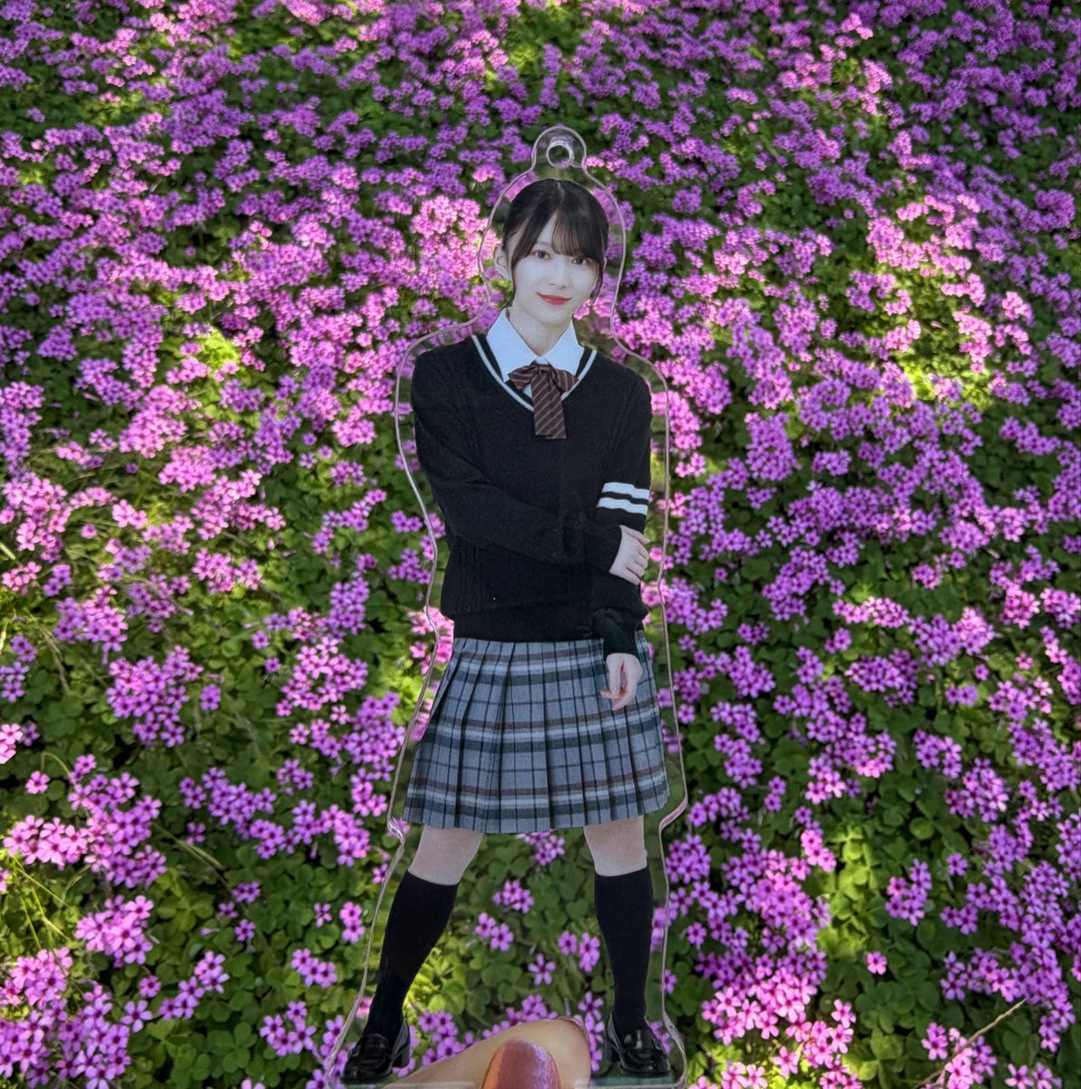 めっちゃ久しぶりに能古島アイランドパーク行ってきた🛳️中学だったか高校だったか忘れたけど遠足で行ったりしたよな〜って懐かしい気持ちになった
