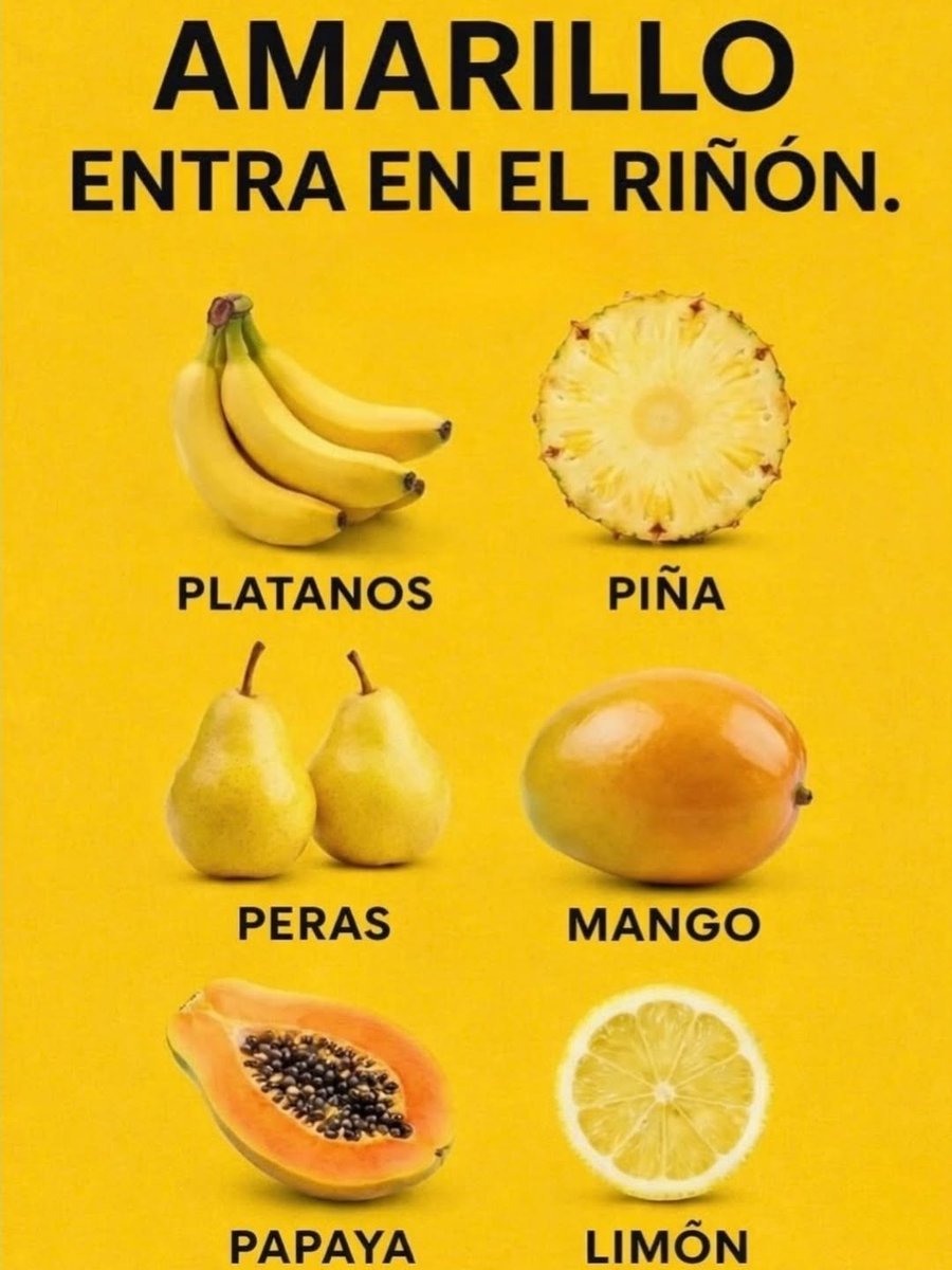 honordetigre's tweet photo. Los colores de los alimentos no son casualidad:

1. 🟡 Amarillo y naranja
Ricos en vitamina C, betacarotenos y antioxidantes.
Apoyan la función inmunológica, ayudan a combatir el estrés oxidativo y favorecen la salud renal gracias a su contenido de agua y potasio. https://t.co/fV2Qg3B3PS