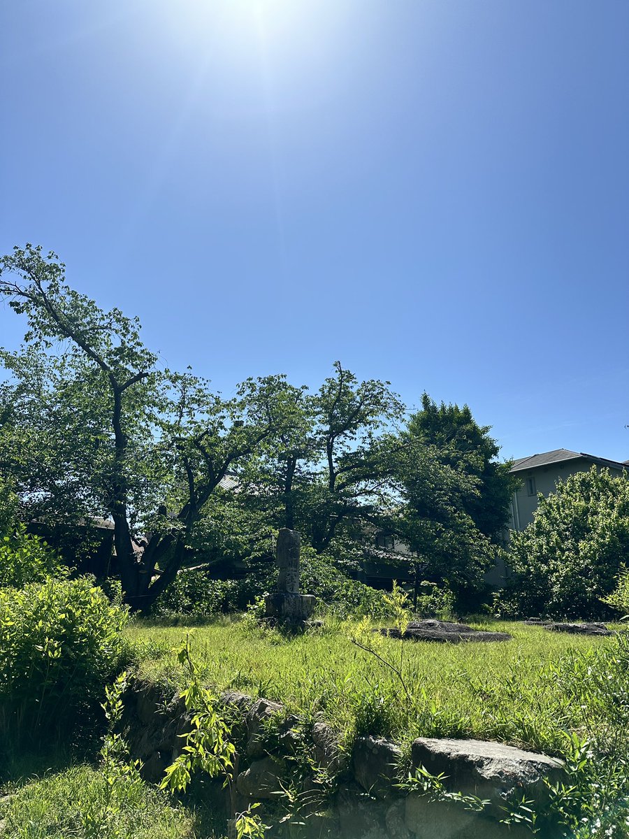 寿 tweet media
