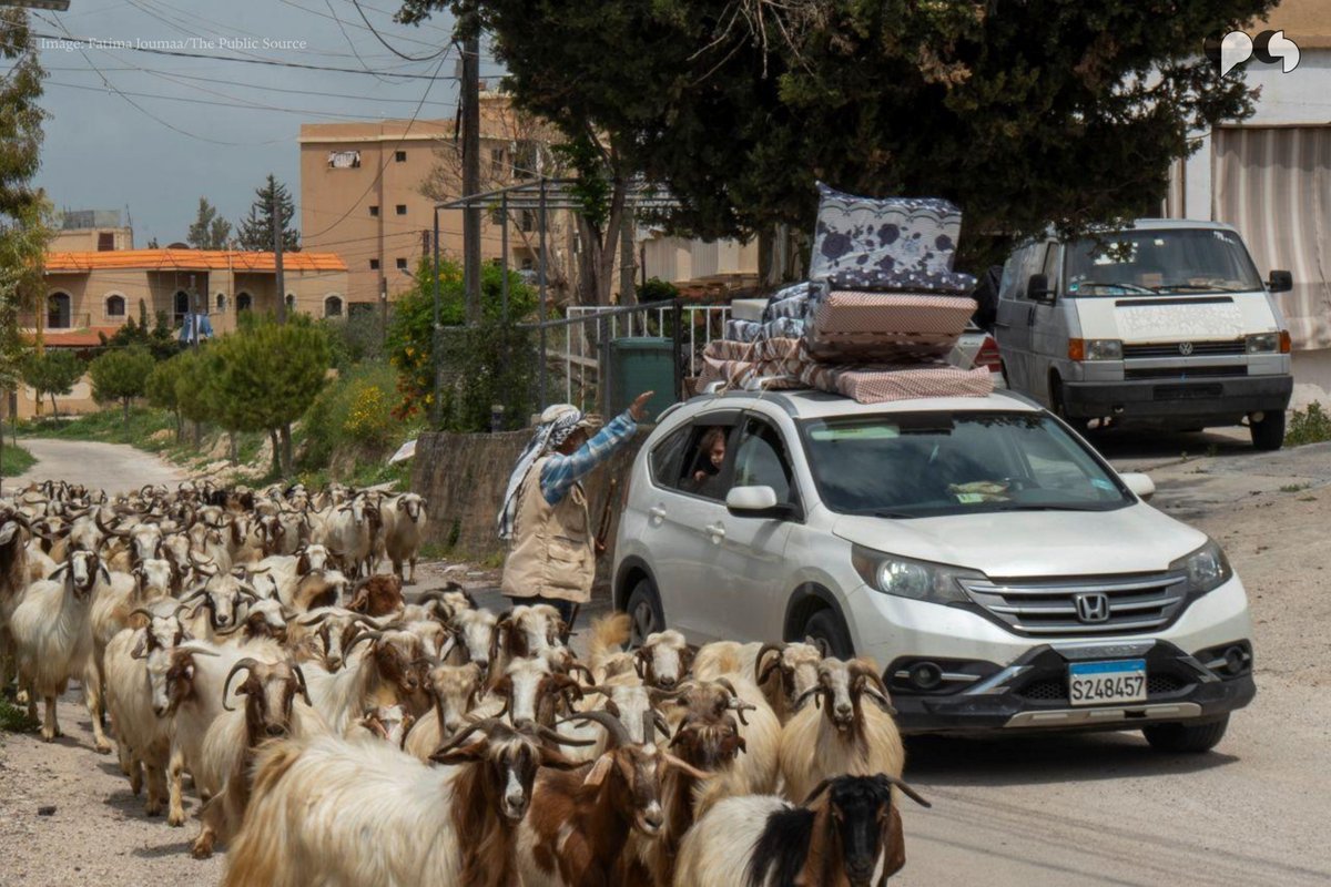 مصدر عام | The Public Source tweet media