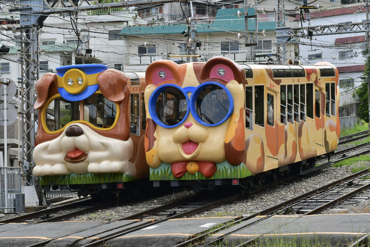 nevi_main's tweet photo. 子供の頃に鉄道図鑑で見た生駒ケーブルのブルとミケを先日ようやく生で見ることができた

こんな可愛らしい見た目なのに、6時から23時まで動いてて通勤通学輸送にもバッチリ使われてるのなかなかのバグでしょ https://t.co/JVxiD5lYV4