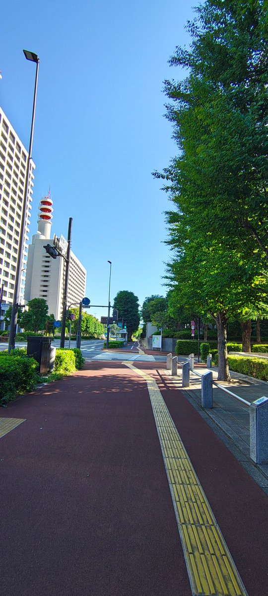 葉月 tweet media