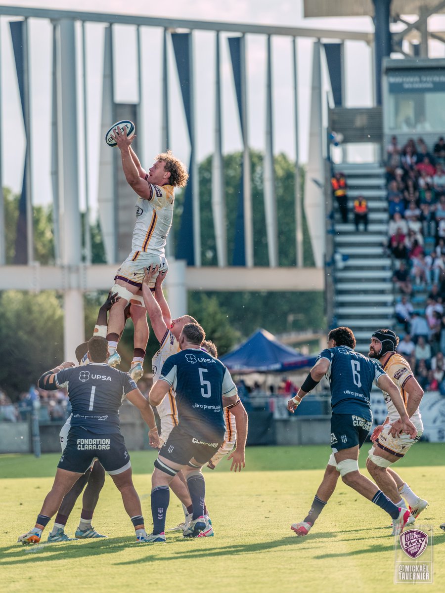 SA XV Charente Rugby tweet media