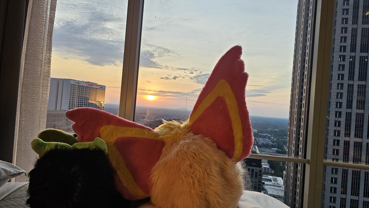 🍑Mango🍑 @ ANTHROHIO tweet media