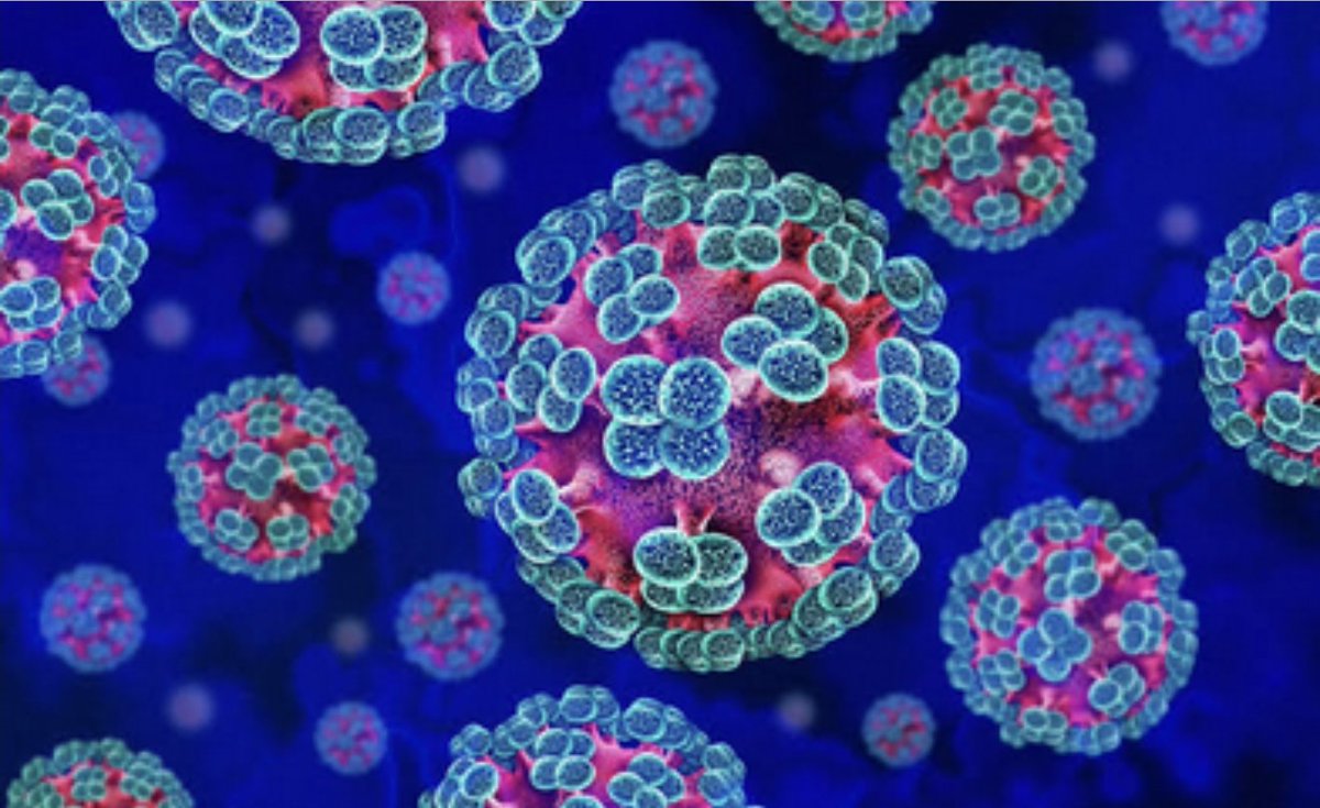 _GlobeObserver's tweet photo. BREAKING:

France just confirmed its first hantavirus case from that MV Hondius outbreak. https://t.co/izGMo1cHJa